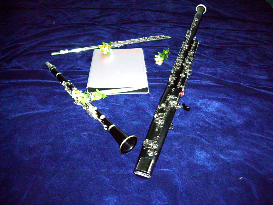 Picture of flute, clarinet and bassoon